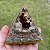 Orgonite Buda da Fortuna - Imagem 4