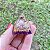 Mini Orgonite Espiritualidade e Proteção - Imagem 2