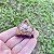 Mini Orgonite Espiritualidade e Proteção - Imagem 1