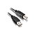 Cabo Extensor USB 2.0  5mts  AM+AF com Filtro - Imagem 1