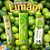 NATUFRUIT LIMAO 60G - Imagem 1