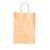 SACOLA PAPEL INTENSE M 26X19,5X9,5 C/1 UN CFSC - Imagem 1