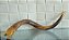 shofar judaico / israel / jerusalem (antiguidade / raridade / relíquia / antiquário) - Imagem 1