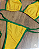 Biquíni de Fita Brasil Amarelo e Verde - Imagem 3
