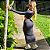CONJUNTO LUISA PRETO - Imagem 2
