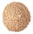 Gergelim Natural Com Casca 500g Premium Campostella - Imagem 5