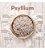 Psyllium Husk 200g Puro Campostella Premium - Imagem 4