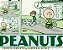 Peanuts completo: 1950 a 1952 - vol. 1: capa brochura - Imagem 1