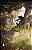 Robin Hood - Imagem 1