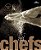As Chefs - Imagem 1