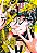Alma vol. 3 - Imagem 1