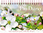 Devocional Pão Diário Mulheres - Sejam cheias de alegria - Ed Mesa: 365 meditações devocionais especiais para mulheres - Imagem 1