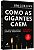 Como as gigantes caem: e por que algumas empresas jamais desistem - Imagem 1
