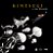 Kintsugi - Imagem 1