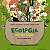 Ecologia até na sopa - Imagem 1