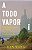 A Todo vapor: Tecnologia e poder na China e a disputa com os Estados Unidos - Imagem 1