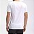 Camiseta The North Face Half Dome Tee Masculina Branco - Imagem 2