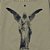 Camiseta MCD Angel WT24 Masculina Cinza Stone - Imagem 2