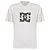 Camiseta DC Shoes Star Skully WT25 Masculina Branco - Imagem 1