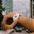 Relógio G-Shock DW-5600WW-7DR Branco - Imagem 3