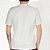 Camiseta Rip Curl New Icon Sphere SM26 Masculina Green Mist - Imagem 2
