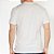 Camiseta Rip Curl Pill Icon Basic SM26 Masculina Bone - Imagem 2