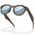 Óculos Oakley Meta HSTN BrownSmoke Prizm DeepWater Polarized - Imagem 4