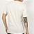 Camiseta RVCA Amini Balance Box SM26 Masculina Off White - Imagem 2