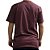 Camiseta Volcom Circle Stone WT26 Masculina Bordo - Imagem 2