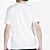 Camiseta Rip Curl Nu Dosed Sphere WT26 Masculina Bone - Imagem 2