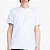 Camiseta Rip Curl Classic Surf Flame WT26 Masculina Bone - Imagem 1
