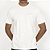 Camiseta Element Blazin Chest WT26 Masculina Snow White - Imagem 1