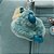 Mochila Kipling New Art M Babybag Tiny Green Air - Imagem 6