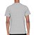 Camiseta Quiksilver Slim Transfer Cinza - Imagem 2