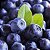"Pisco"Blue Berry Macerado em Pisco 187ml - Imagem 4