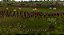 Jogo Great Battles Medieval - Xbox 360 - Mídia Física (SOMENTE DISCO) - Imagem 6
