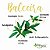 Erva Baleeira Natuviva - 120 Cápsulas - 500 MG - Imagem 3