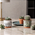Kit Terracota 3 Peças Cachepot e Prato Decorativo p/ Plantas - Imagem 1