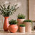 Kit Vasos de Ferro Terracota Decorativos Estilo Industrial - Imagem 1