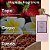 MANASIK MALIKAT AL ARAB ROSE EDP 100ml - Imagem 2