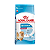 Royal Canin Indoor Junior/Pupy 1kg (10) - Imagem 1