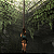 Jogo Tomb Raider: Anniversary - PS5 Mídia Digital - Imagem 4