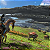 Jogo Avatar Frontiers of Pandora - PS5 Mídia Digital - Imagem 2