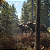 Jogo THEHUNTER CALL OF THE WILD - PS5 Mídia Digital - Imagem 2