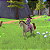 Jogo Barbie™ Horse Trails - PS4 Mídia Digital - Imagem 6