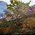 Jogo Adorable Adventures - PS5 Mídia Digital - Imagem 6