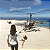 Jogo Stranded Deep - PS4 Mídia Digital - Imagem 5