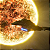 Jogo Star Trek: Voyager - Across the Unknown - PS5 Mídia Digital - Imagem 2
