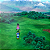 Jogo DRAGON QUEST III HD-2D Remake - PS5 Mídia Digital - Imagem 5