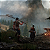 Jogo Blades of Fire - PS5 Mídia Digital - Imagem 6
